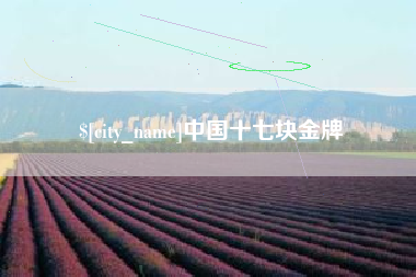 鄂州中国十七块金牌