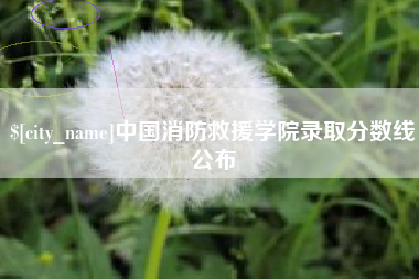 鄂州中国消防救援学院录取分数线公布