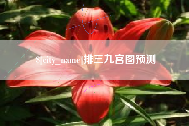 鄂州排三九宫图预测