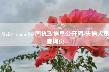 鄂州中国执政信息公开网-失信人员查询页