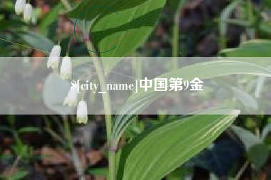 鄂州中国第9金