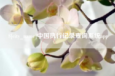 鄂州中国执行记录查询系统app