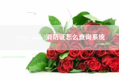 鄂州消防证怎么查询系统
