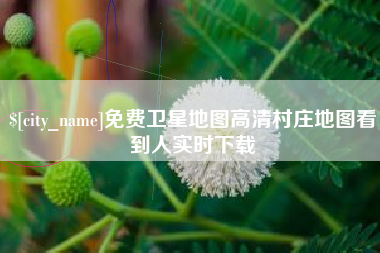 鄂州免费卫星地图高清村庄地图看到人实时下载