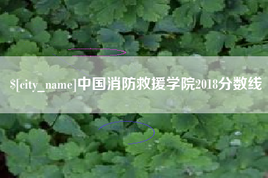 鄂州中国消防救援学院2018分数线