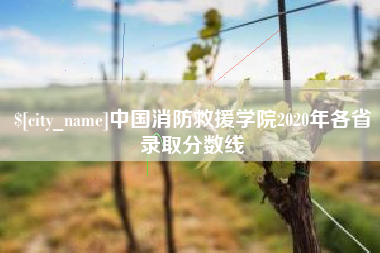 鄂州中国消防救援学院2020年各省录取分数线