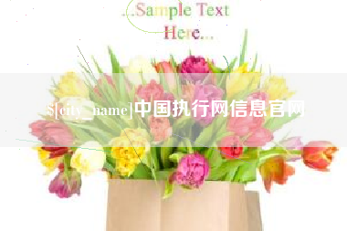 鄂州中国执行网信息官网