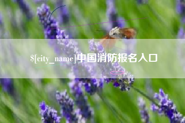 鄂州中国消防报名入口