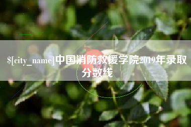 鄂州中国消防救援学院2019年录取分数线