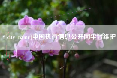 鄂州中国执行信息公开网平台维护