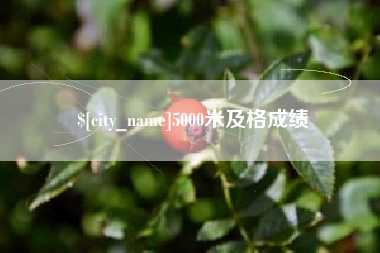 鄂州5000米及格成绩