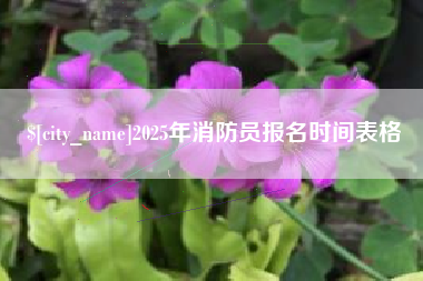 鄂州2025年消防员报名时间表格