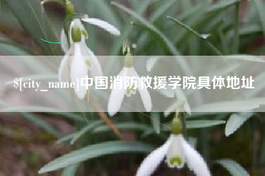 鄂州中国消防救援学院具体地址