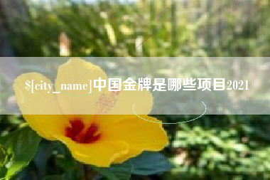 鄂州中国金牌是哪些项目2021