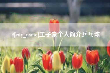 鄂州王子豪个人简介乒乓球