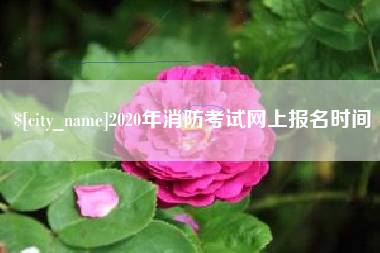 鄂州2020年消防考试网上报名时间
