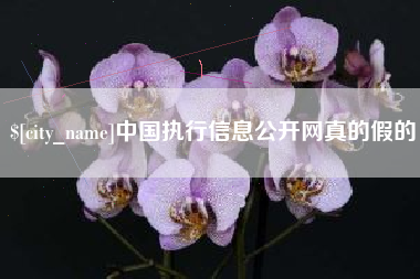 鄂州中国执行信息公开网真的假的