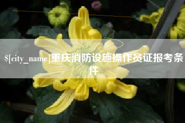 鄂州重庆消防设施操作员证报考条件