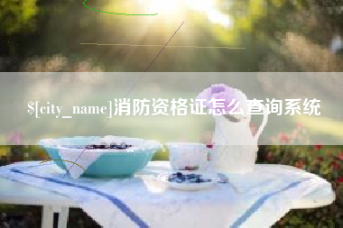 鄂州消防资格证怎么查询系统