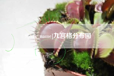 鄂州九宫格分布图
