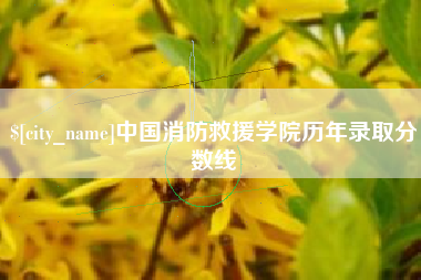 鄂州中国消防救援学院历年录取分数线