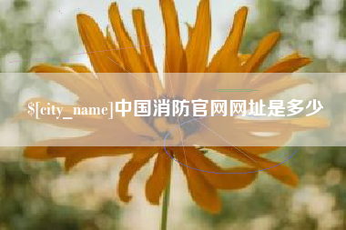鄂州中国消防官网网址是多少