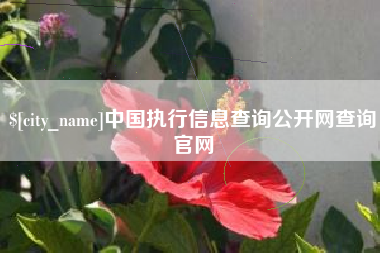 鄂州中国执行信息查询公开网查询官网