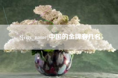 鄂州中国的金牌有几名