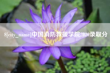鄂州中国消防救援学院2020录取分