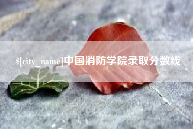 鄂州中国消防学院录取分数线