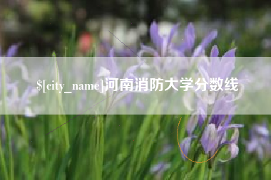 鄂州河南消防大学分数线