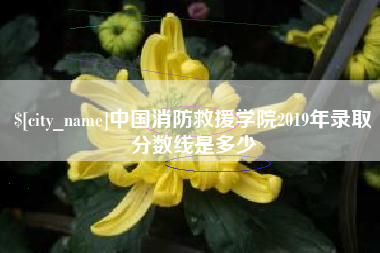 鄂州中国消防救援学院2019年录取分数线是多少