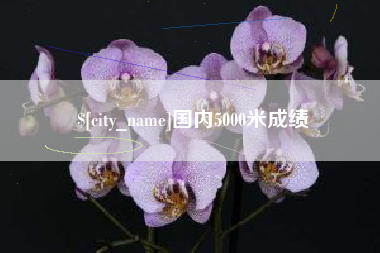 鄂州国内5000米成绩