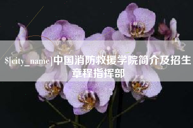 鄂州中国消防救援学院简介及招生章程指挥部