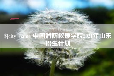 鄂州中国消防救援学院2021年山东招生计划