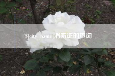 鄂州消防证的查询