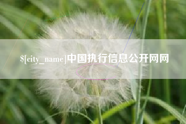 鄂州中国执行信息公开网网