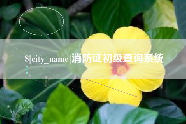 鄂州消防证初级查询系统