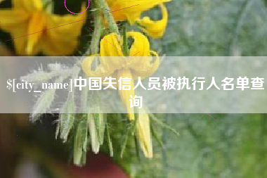 鄂州中国失信人员被执行人名单查询