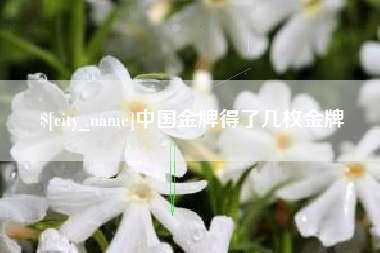 鄂州中国金牌得了几枚金牌