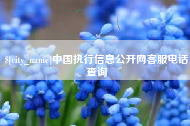 鄂州中国执行信息公开网客服电话查询
