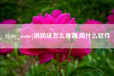 鄂州消防证怎么查询,用什么软件