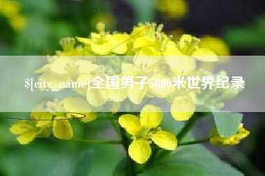 鄂州全国男子5000米世界纪录