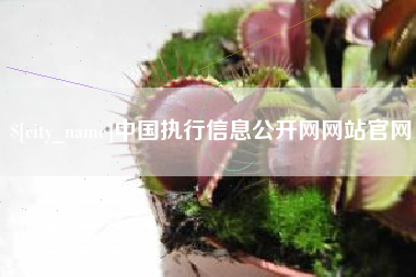鄂州中国执行信息公开网网站官网