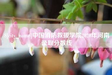 鄂州中国消防救援学院2020年河南录取分数线