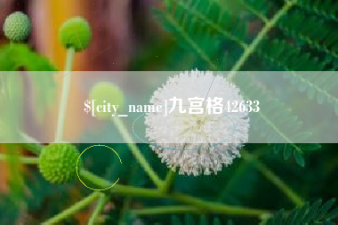 鄂州九宫格42633