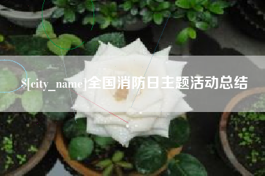 鄂州全国消防日主题活动总结