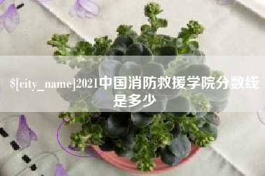 鄂州2021中国消防救援学院分数线是多少