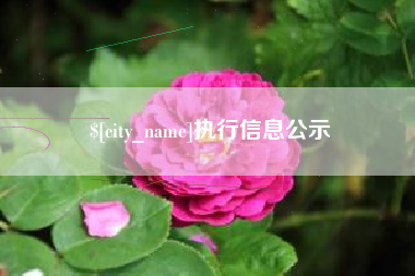鄂州执行信息公示