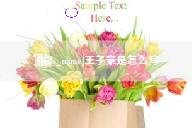 鄂州王子豪是怎么写